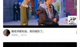 李婉君爆料视频大全集在线观看,揭秘幕后真相