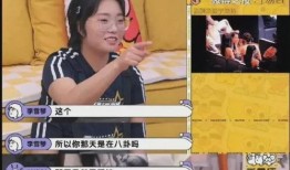 娱乐圈真实八卦爆料,明星背后的惊人真相与幕后操作